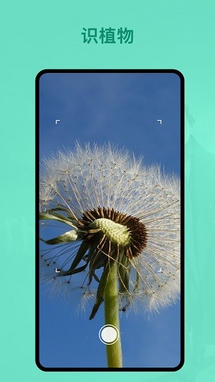 識植物軟件 v1.0.1 安卓版 2