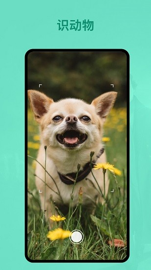 識植物 識植物app下載