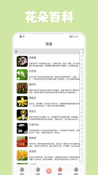 识花拍照帮手机版 识花拍照帮安卓版