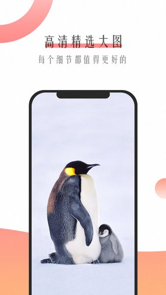 節(jié)日壁紙最新版 v2.0 安卓版 1