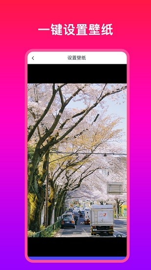 多多壁紙大全 v1.0.1 安卓版 0