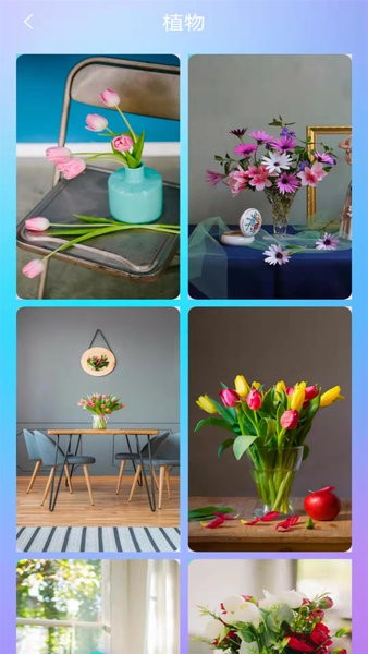 喵喵壁紙app最新版本 v1.4 安卓版 1