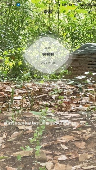 極牙 v1.1.3 最新版 3