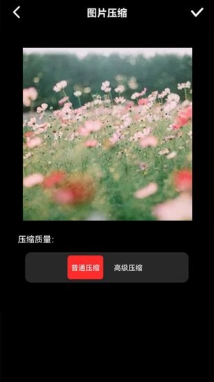 圖像壓縮器app v1.1 安卓版 1