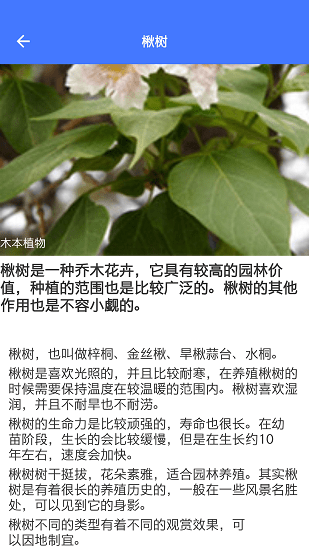 好用拍照识别最新版 好用拍照识别最新版下载