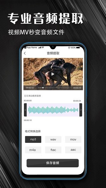 MP3音頻提取器術(shù)圖軟件下載