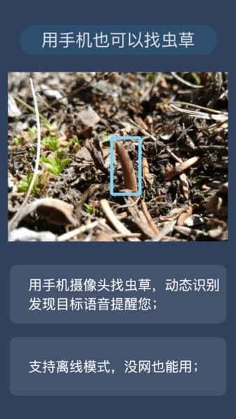 幸運之眼蟲草挖掘工具