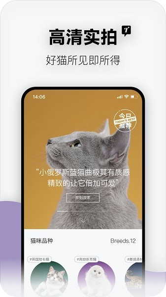 隨它 v1.0.8 手機(jī)版 2