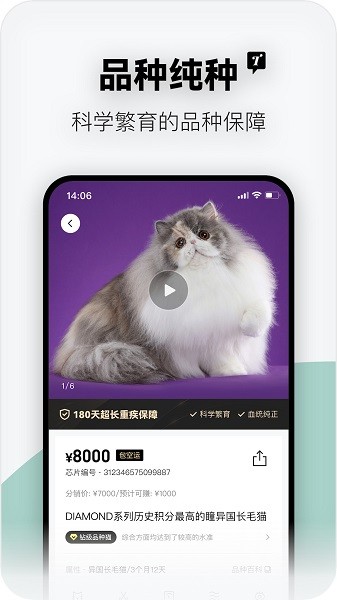 隨它軟件下載 隨它app下載