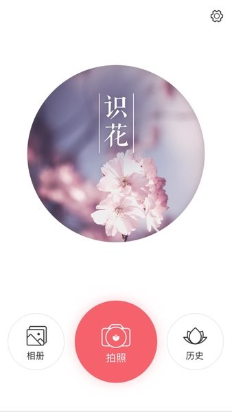 識花大師app