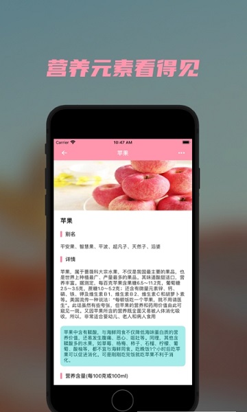 懶豬營(yíng)養(yǎng)app下載