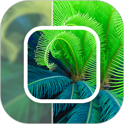 模糊照片修復app