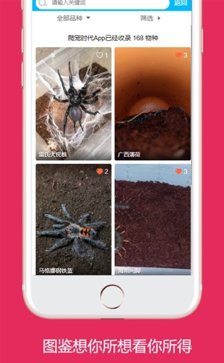 爬寵時(shí)代官方版 爬寵時(shí)代app下載