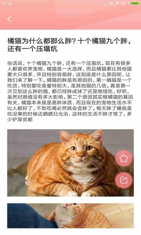 宠物公社app下载