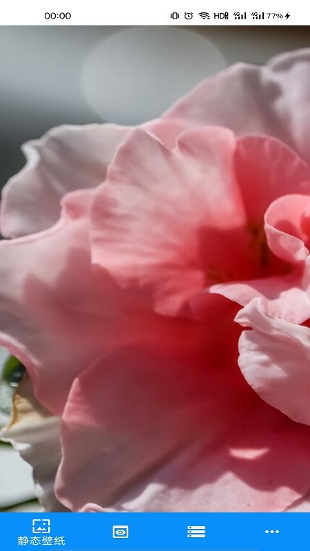 手機有聲壁紙軟件 v1.0.0 安卓版 0