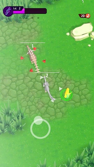 動(dòng)物進(jìn)化挑戰(zhàn)游戲下載