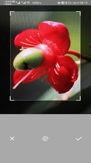 智能拍照识别工具 智能拍照识别app下载