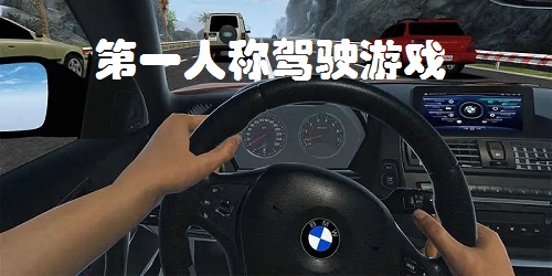 第一人稱駕駛游戲