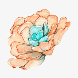 小墨多肉日記手機版