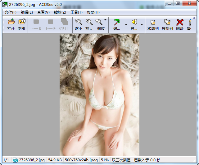 ACDSee精簡(jiǎn)版下載 ACDSee綠色精簡(jiǎn)版