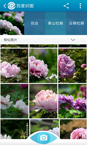 百度識(shí)圖 V3.0.0 官方安卓版 0