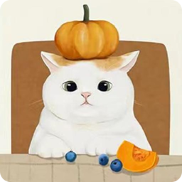 收納物語無廣告版