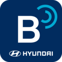 北京現(xiàn)代bluelink