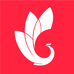 巔峰減重官方版