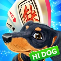 哈狗三缺一義烏版