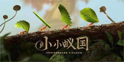 小小蟻國