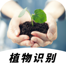 植物图鉴