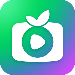 銀河奇異果電視版