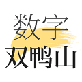 数字双鸭山
