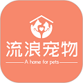 流浪宠物