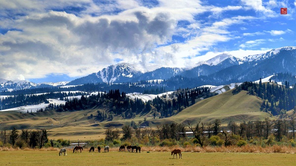 新疆網(wǎng)院手機app最新版下載-新疆干部網(wǎng)絡學院平臺app-新疆干部網(wǎng)絡學院app官方下載