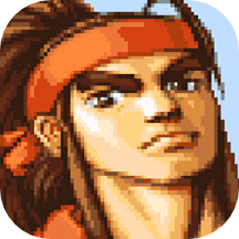 三國戰(zhàn)紀(jì)手游華為手機版