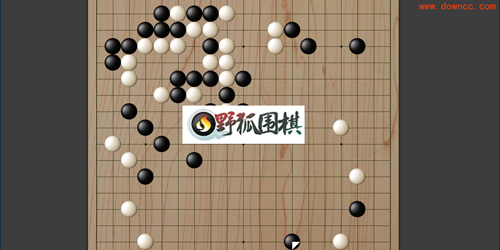 野狐圍棋