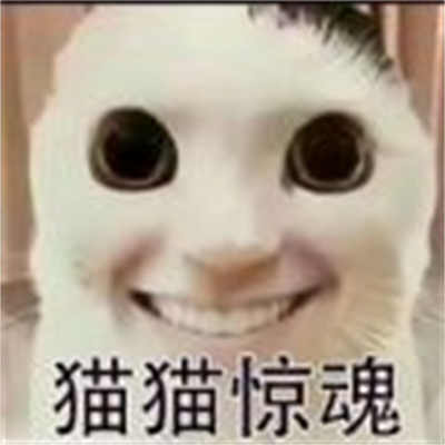 貓鼠特工貓貓?bào)@魂