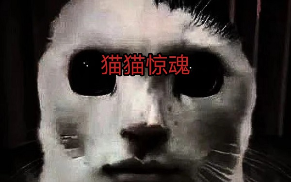 貓貓驚魂正版下載-貓貓驚魂免費下載-貓貓驚魂版本大全