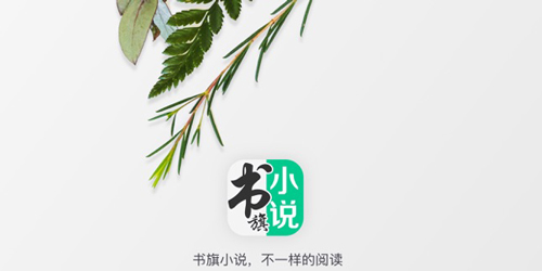 書旗小說修改版