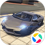 真實(shí)賽車模擬