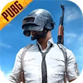 betapubgmobile國際服體驗服