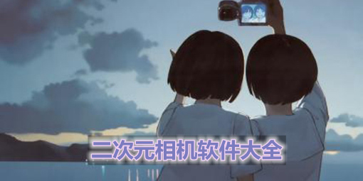 二次元相機(jī)