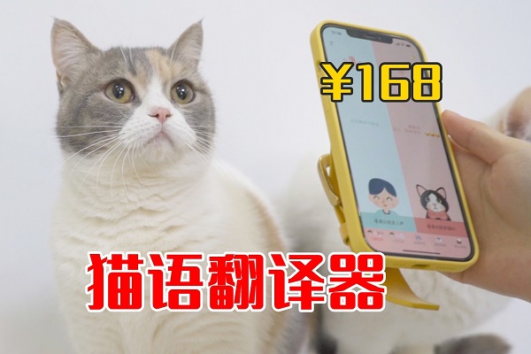 萌寵翻譯軟件哪個好用-最好用的萌寵翻譯軟件推薦