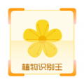 植物識(shí)別王