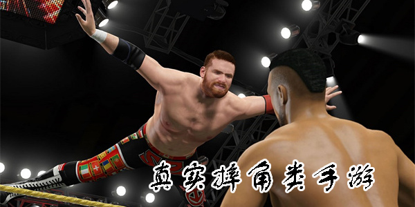真實(shí)摔角類手游推薦-真實(shí)摔角類手游大全