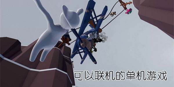 可以聯(lián)機(jī)的單機(jī)游戲
