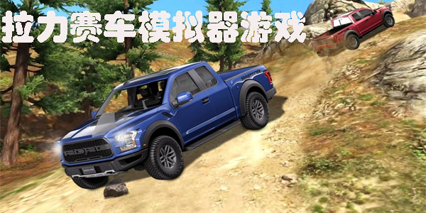 拉力賽車模擬器