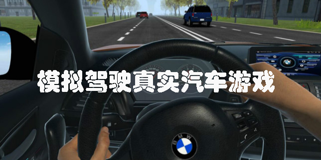 模擬駕駛真實(shí)汽車