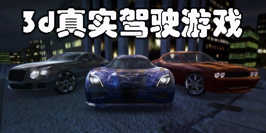 3d真實駕駛